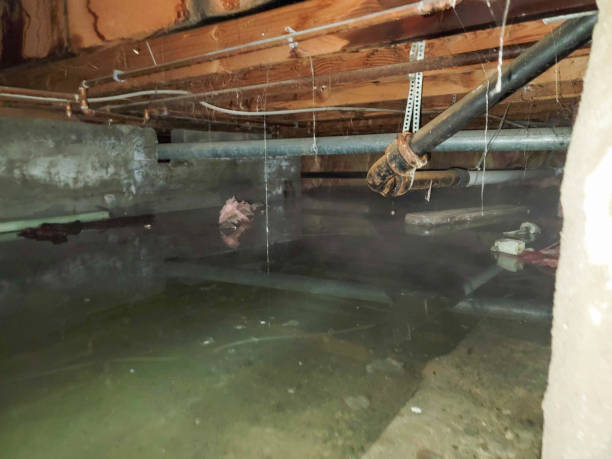 Best Water damage restoration near me  in Honeoye Falls, NY