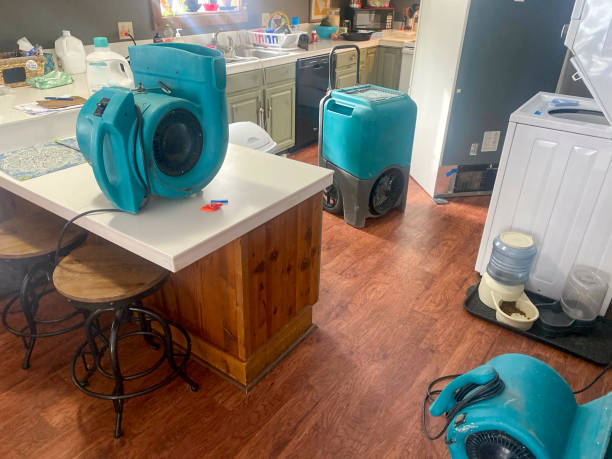 Best Water damage restoration near me  in Honeoye Falls, NY