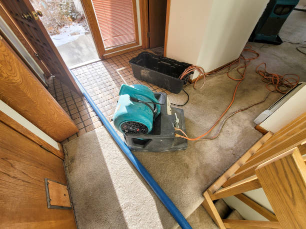 Best Water damage cleanup near me  in Honeoye Falls, NY