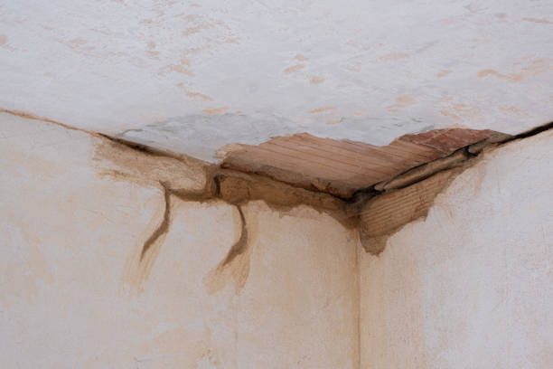 Local water damage restoration in NY