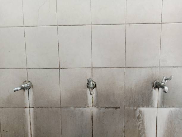  Honeoye Falls, NY Water damage restoration Pros