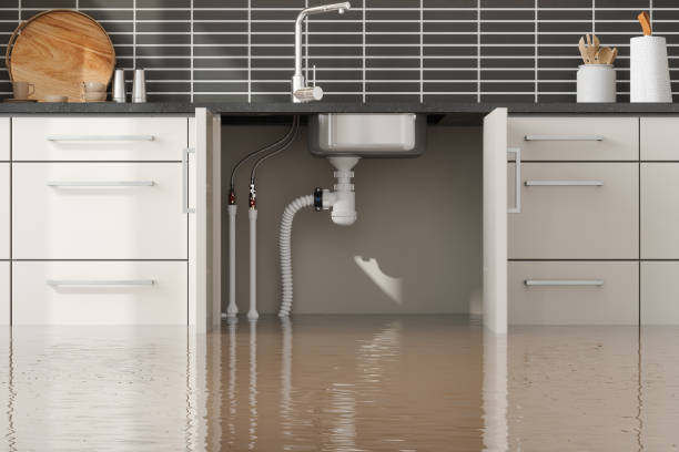 Best Commercial water damage restoration  in Honeoye Falls, NY