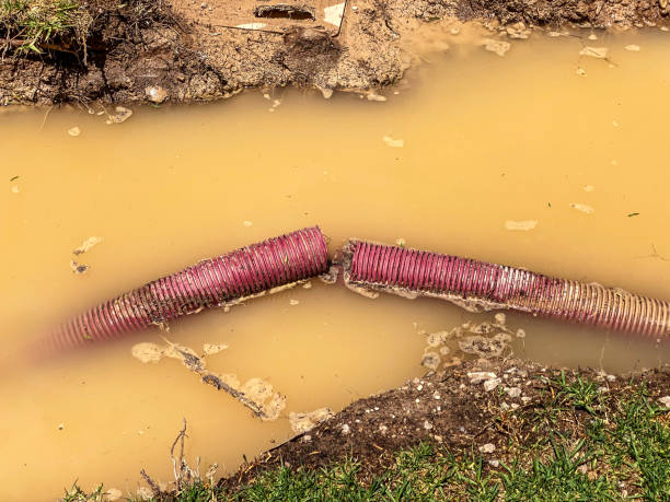 Best Flood restoration services  in Honeoye Falls, NY
